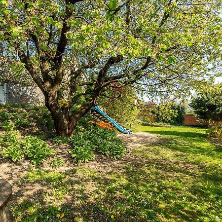 Vila Slunecni Stran Svoboda nad Úpou Extérieur photo